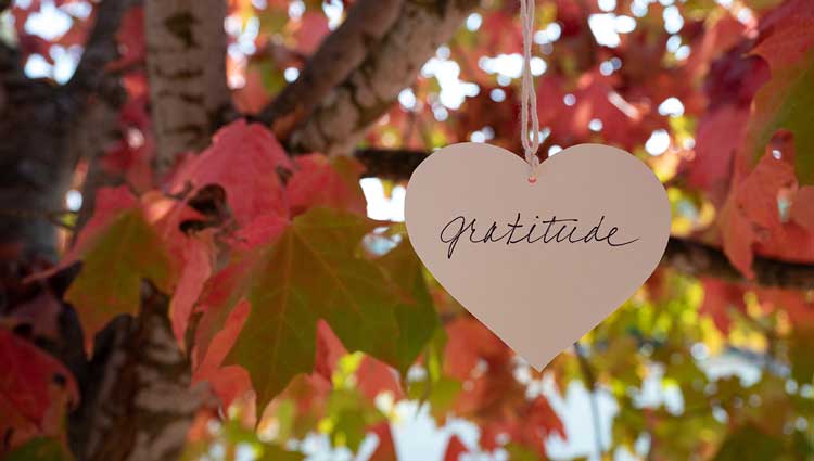 Gratitude heart hanging from tree